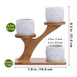 Suculentas 3 macetas de búho soporte con 3 niveles de_6