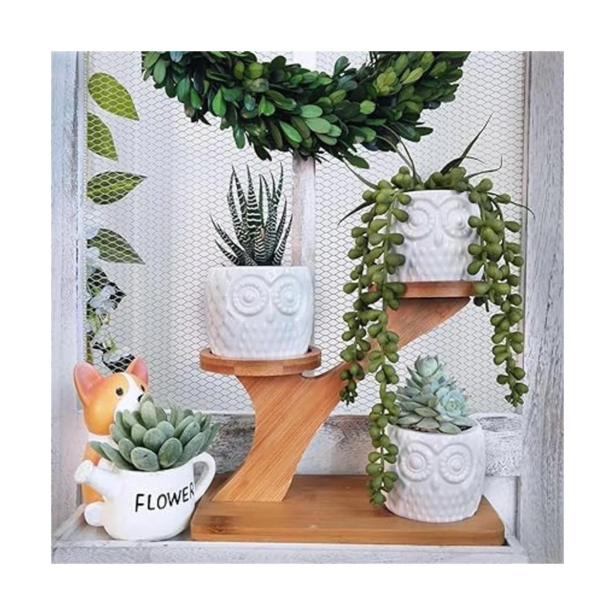 Suculentas 3 macetas de búho soporte con 3 niveles de_4