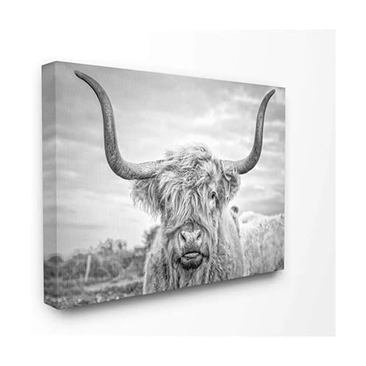 HOME Lienzo para pared fotografía de vaca de las tierras_1