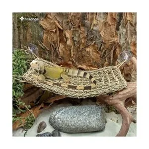 Niteangel Hamaca de dragón barbudo para reptiles_5