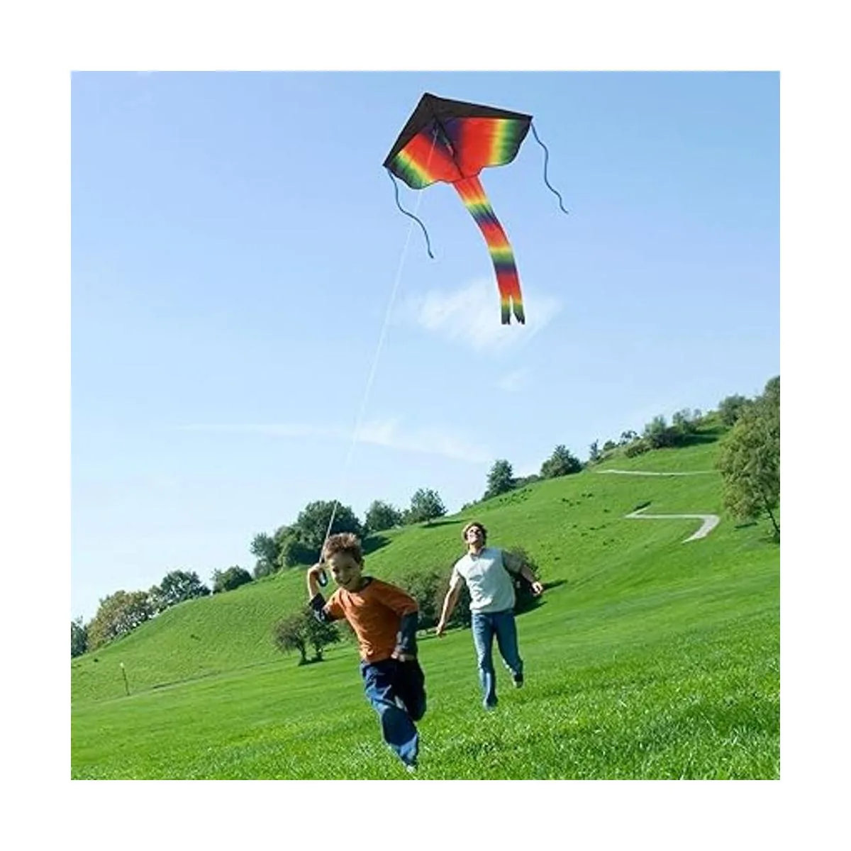 Paquete de 2 cometas Gran cometa arcoíris y pulpo_3