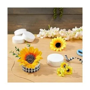 Paquete de 24 círculos de espuma para manualidades discos_3