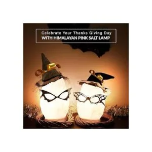 Himalayan Glow Lámpara de sal blanca hecha a mano luz_3