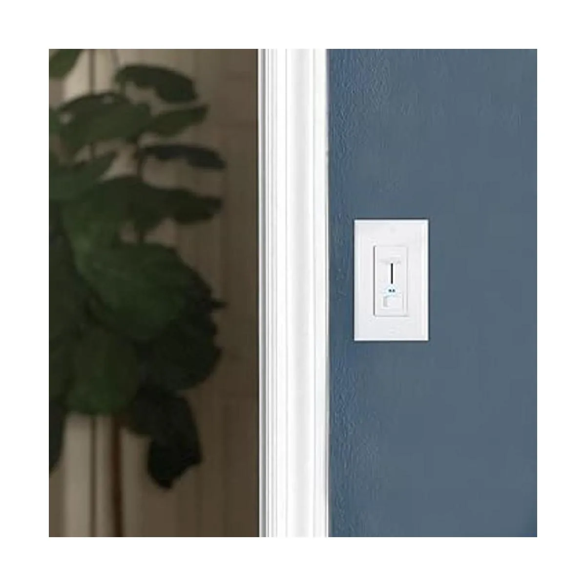 Maxxima Interruptor de luz eléctrica con regulador de_3