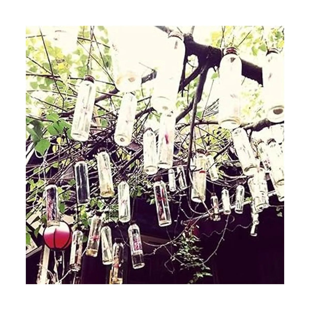 Mini botellas de vidrio con tapones de corcho frascos_7