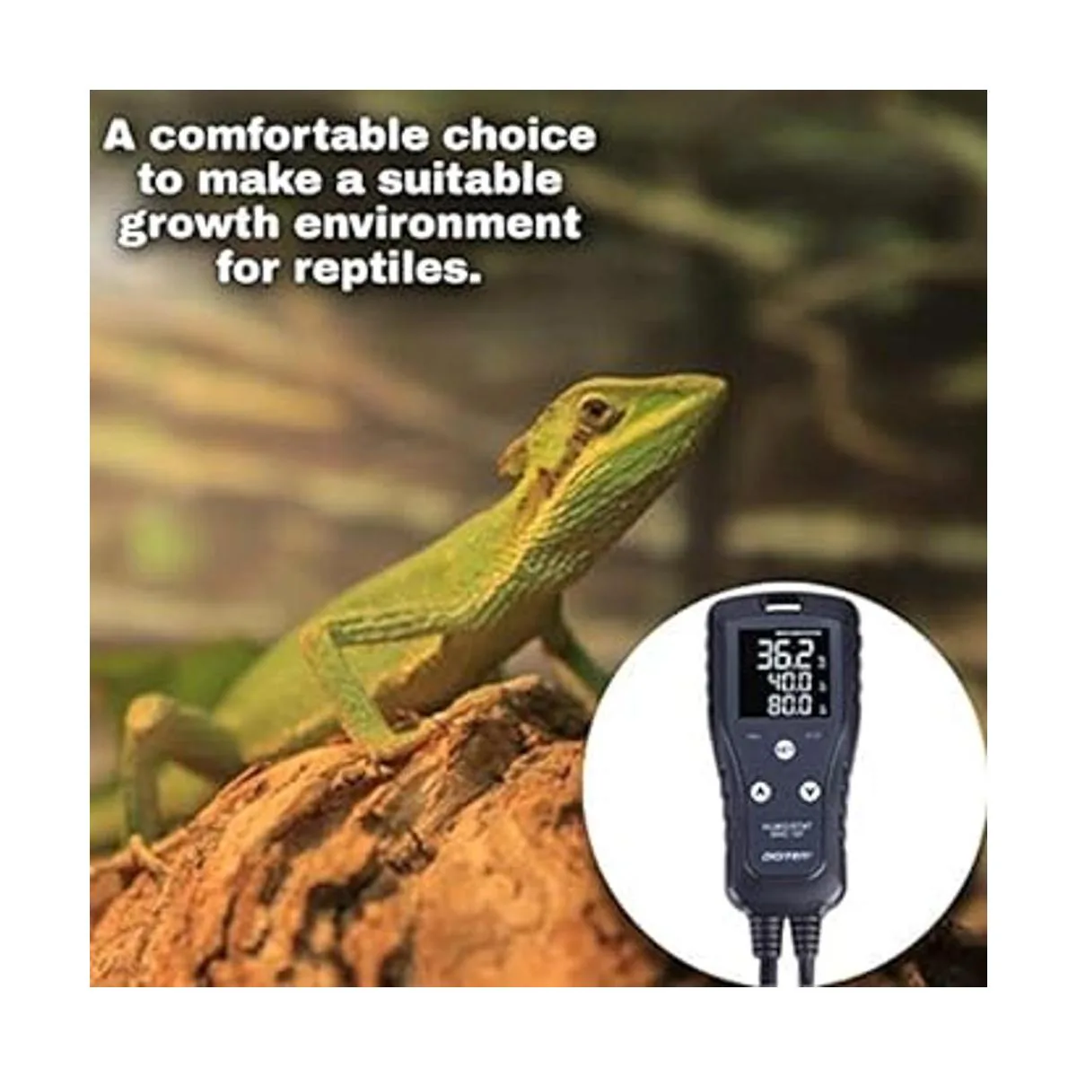 DIGITEN Controlador de humedad digital Humidistat_2