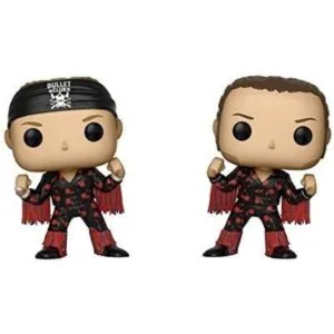 Funko Pop Wrestling Bullet Club Young Bucks 2_1