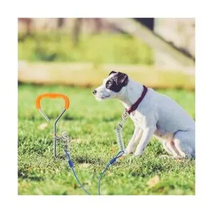 Petbobi 20 Feet 30 Feet Tie Out Cable Chew Proof for Dog_5