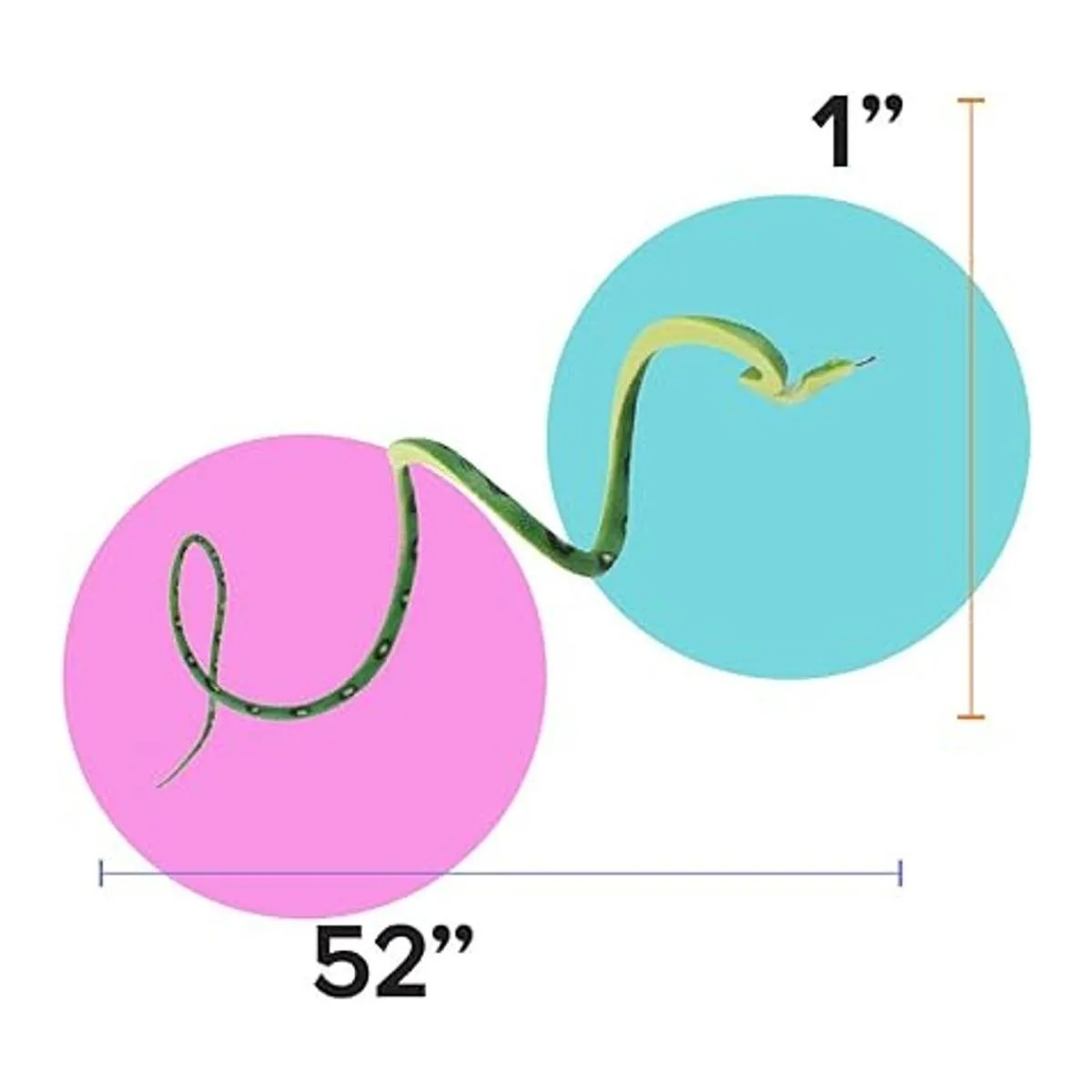 Boley Jumbo Snakes Juego de 4 juguetes de serpiente falsa_5