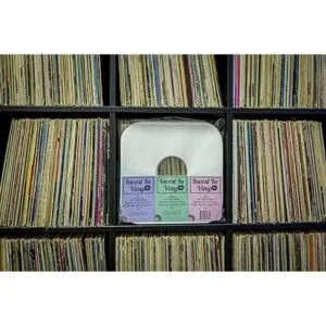 Fundas interiores de vinilo para grabado de 100 lP papel_4