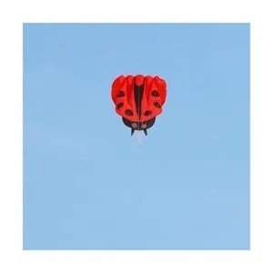 Besra colorido catarina cometa con asa y cuerdas catarina_3