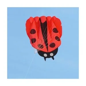 Besra colorido catarina cometa con asa y cuerdas catarina_2