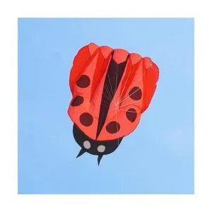 Besra colorido catarina cometa con asa y cuerdas catarina_6