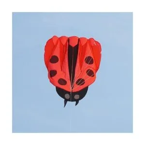 Besra colorido catarina cometa con asa y cuerdas catarina_5