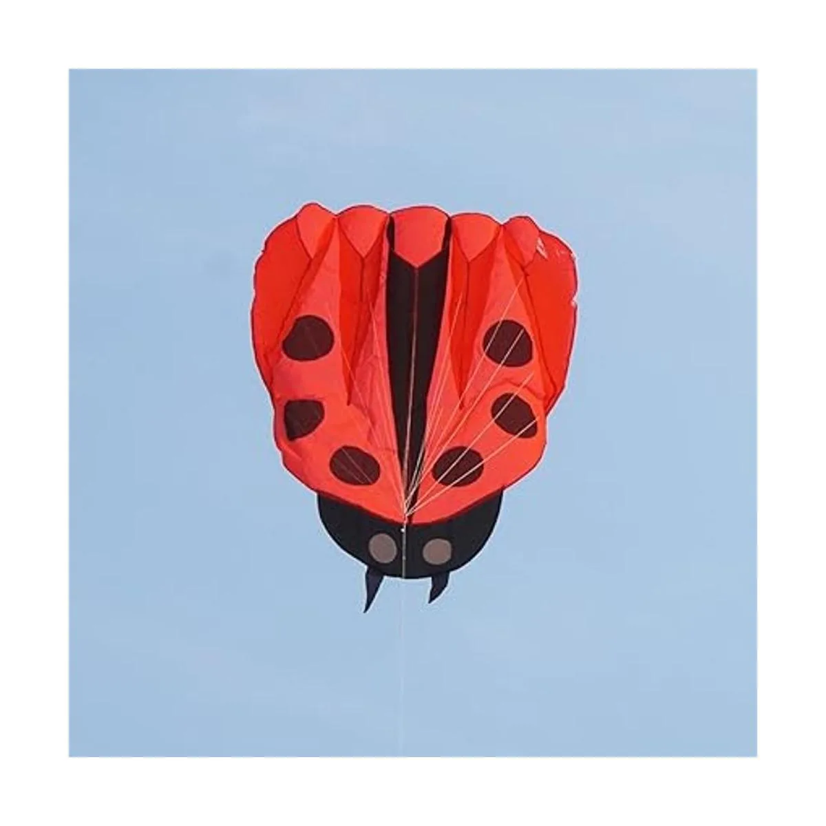 Besra colorido catarina cometa con asa y cuerdas catarina_5