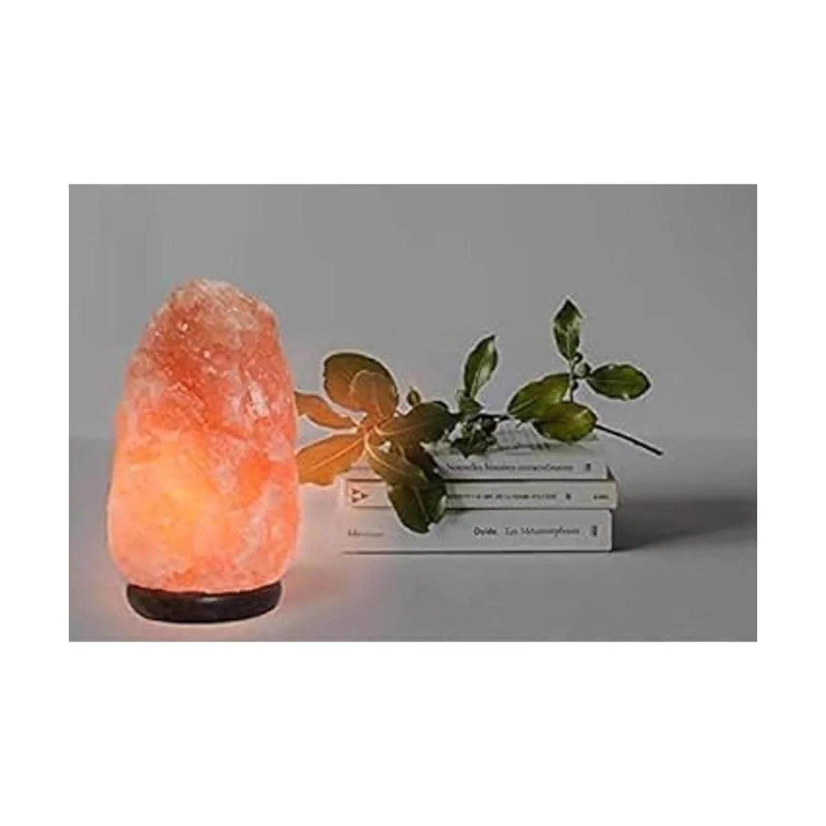 Lámpara de sal del Himalaya de 7 pulgadas con cable de_6