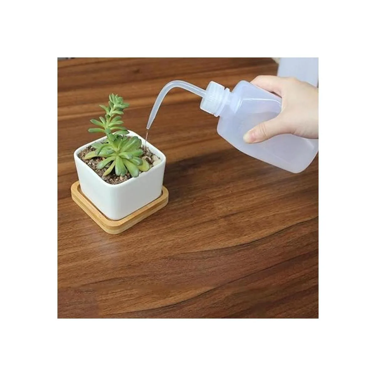 Belinlen Botella de plástico para lavado de seguridad_6