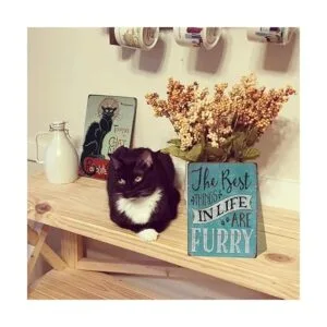 Letrero de metal con texto The Best Things In Life Are_2