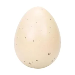 Juguete novedoso de huevo de escotilla de dinosaurio en_6