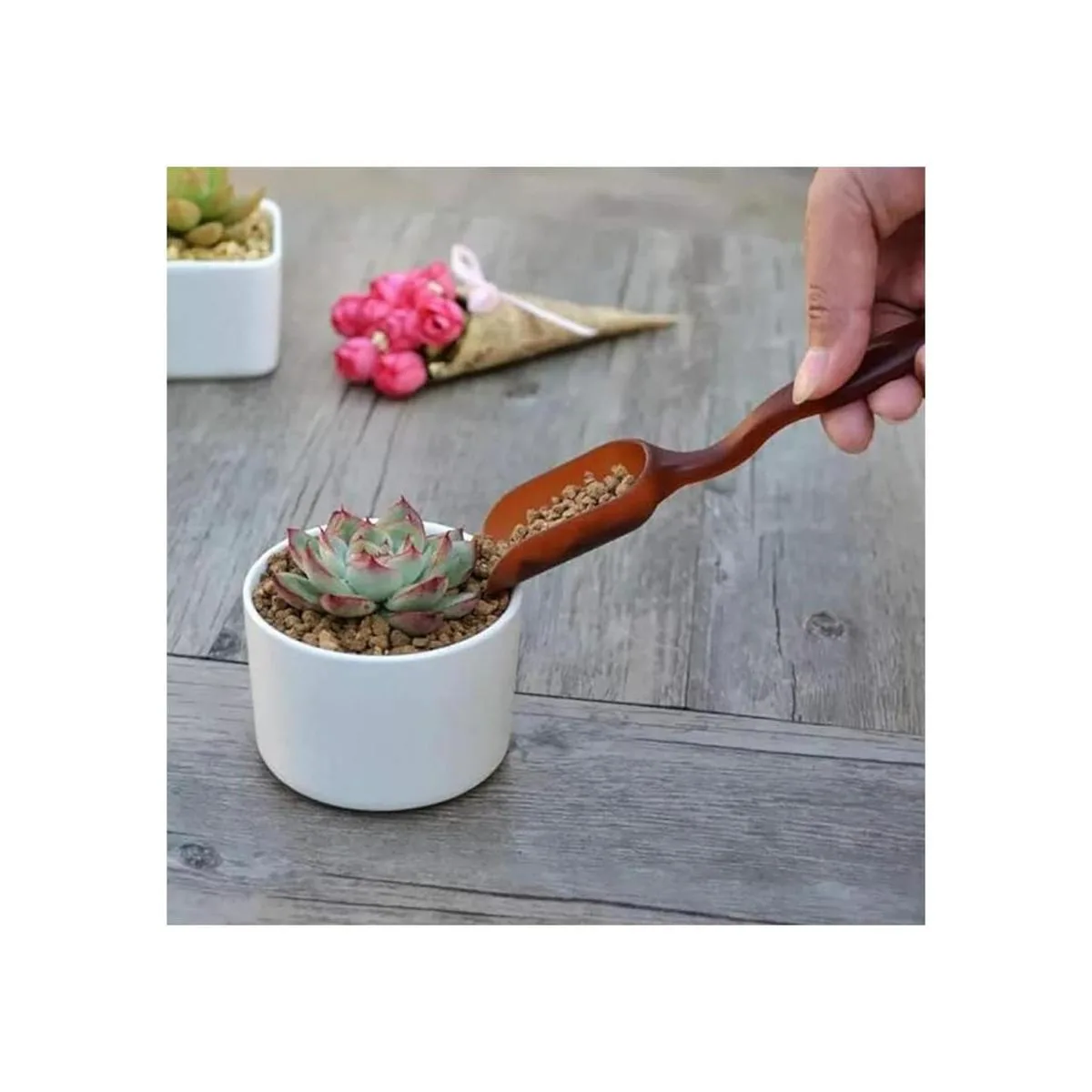 SONGZIMING Juego de 15 herramientas para plantas_4