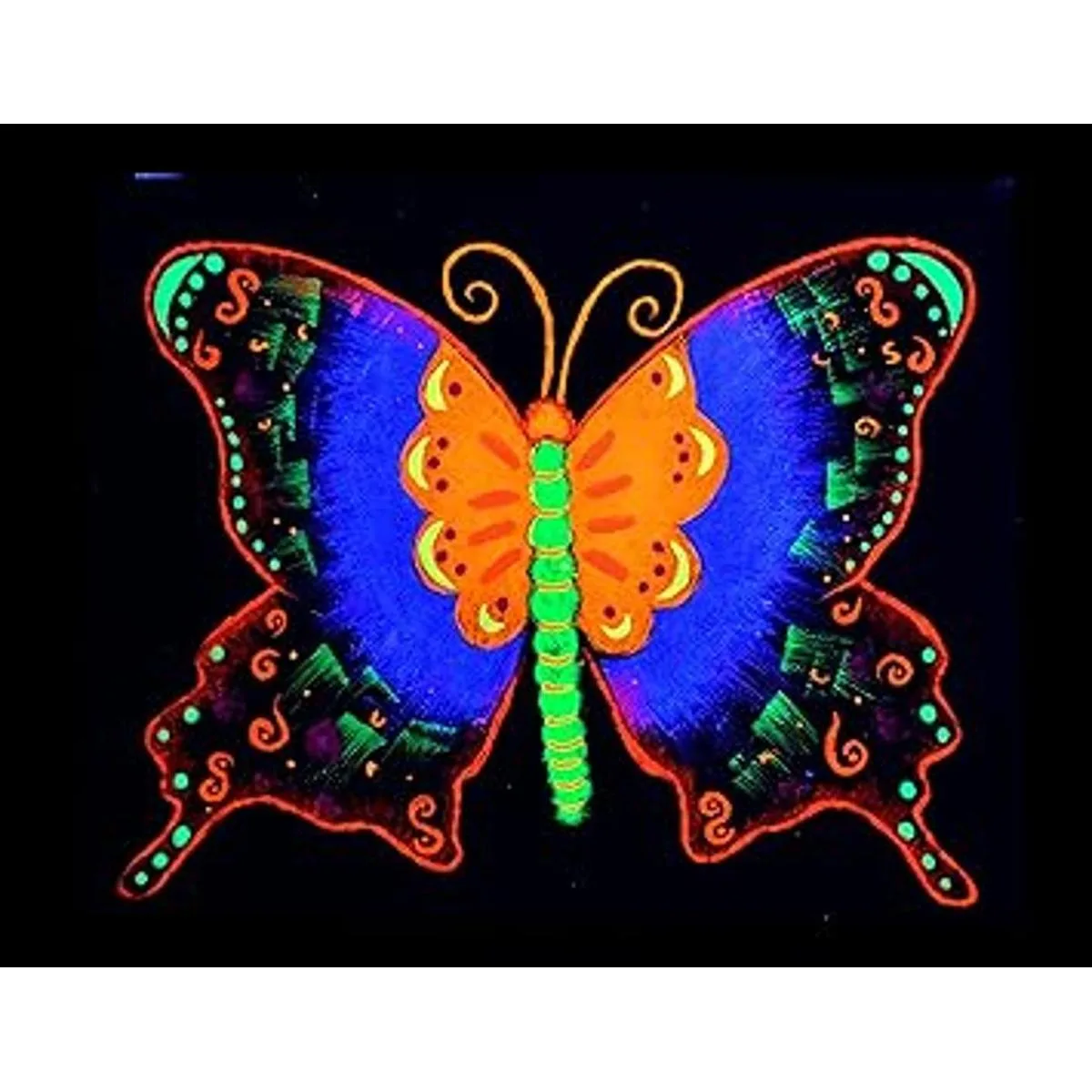 Midnight Glo Juego de 8 botellas de pintura acrílica negra_3