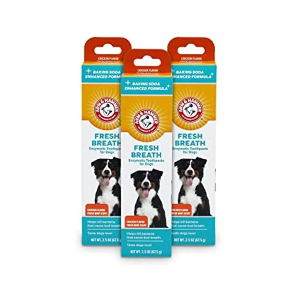 Arm Hammer Pasta dental para mascotas para perros No_1