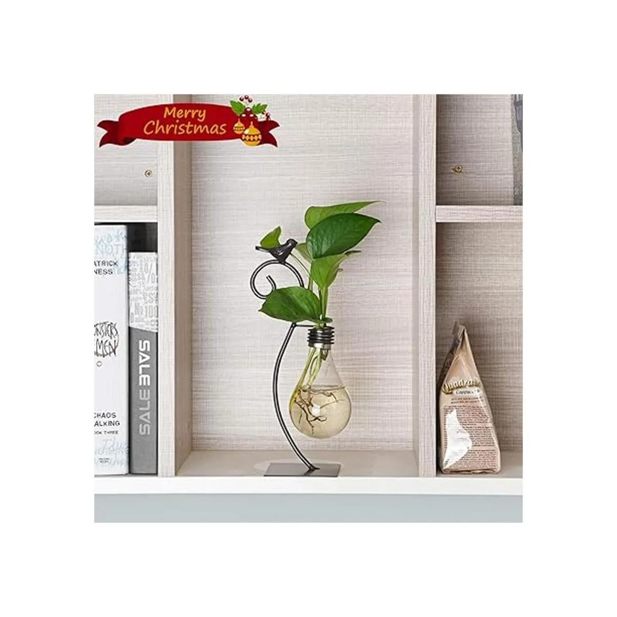 Marbrasse Jarrón hidropónico de cristal de sobremesa_3