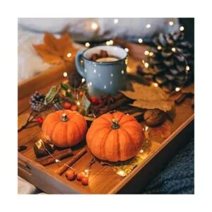 Sterno Home GL40736 Lote de 4 luces LED para cableado de_2