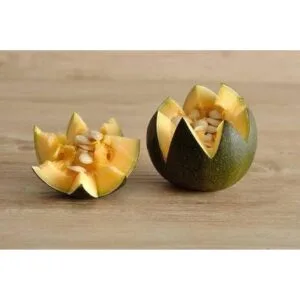 Keyfit Tools Cuchillo profesional para tallar calabaza_6