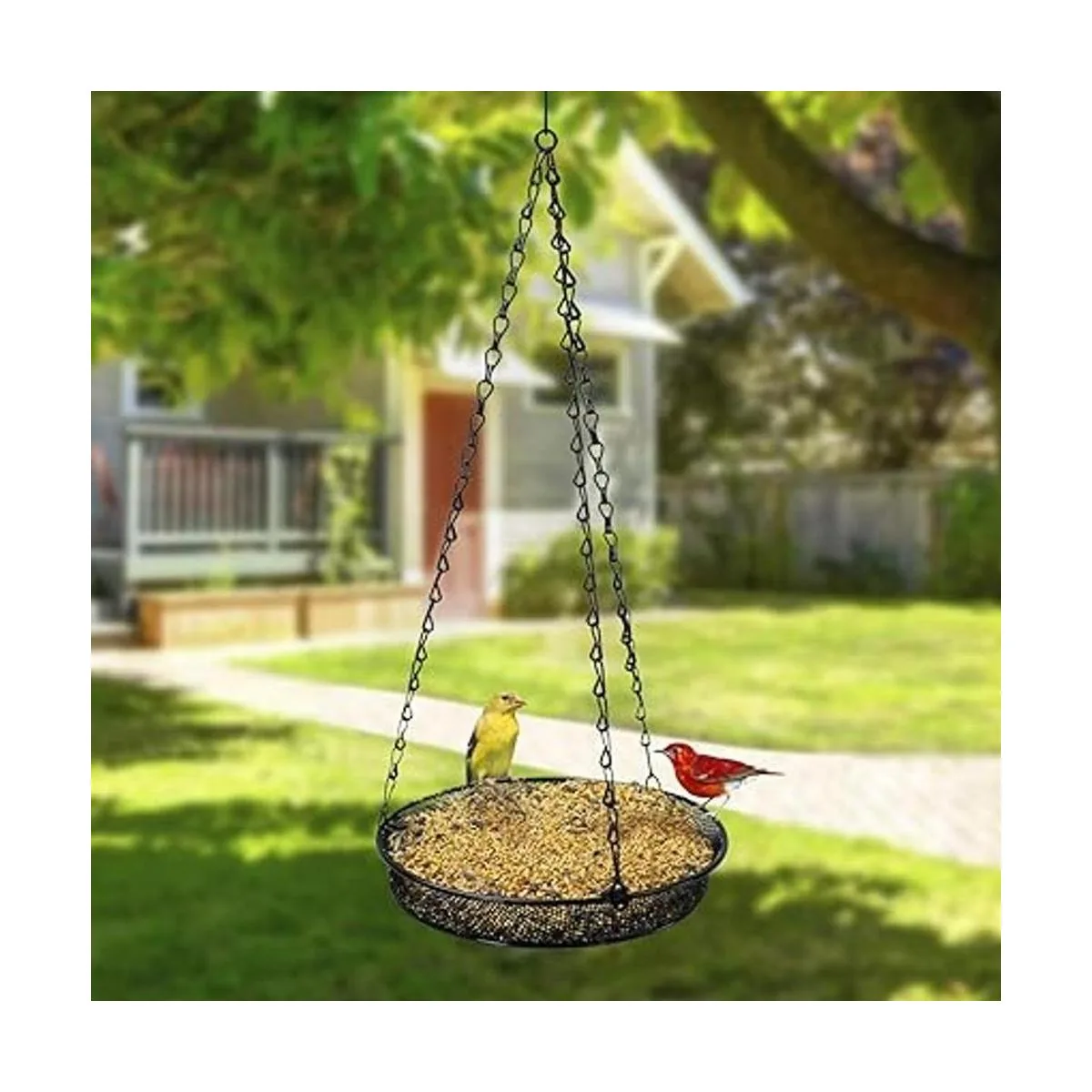 Sorbus Bandeja colgante para comederos de pájaros ideal_4