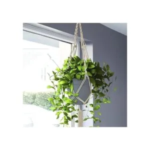 Sorbus Percha para plantas de macramé 4 unidades para_2