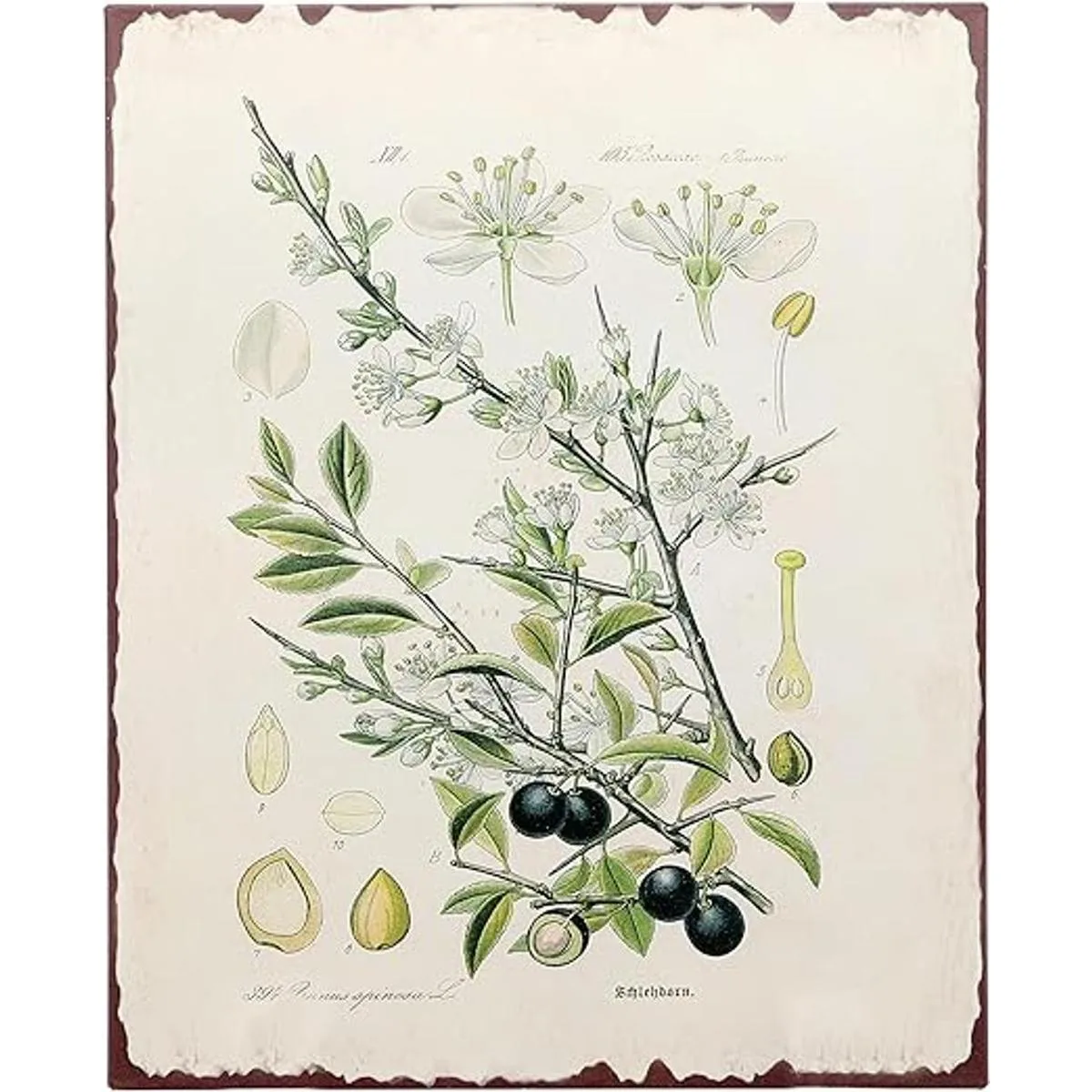 Barnyard Designs Arte de pared con estampado de árbol de_1