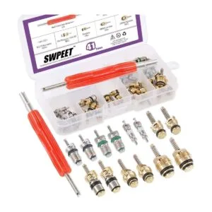 Swpeet 41 piezas R12 R134a AC Master Valve Core Kit de_1