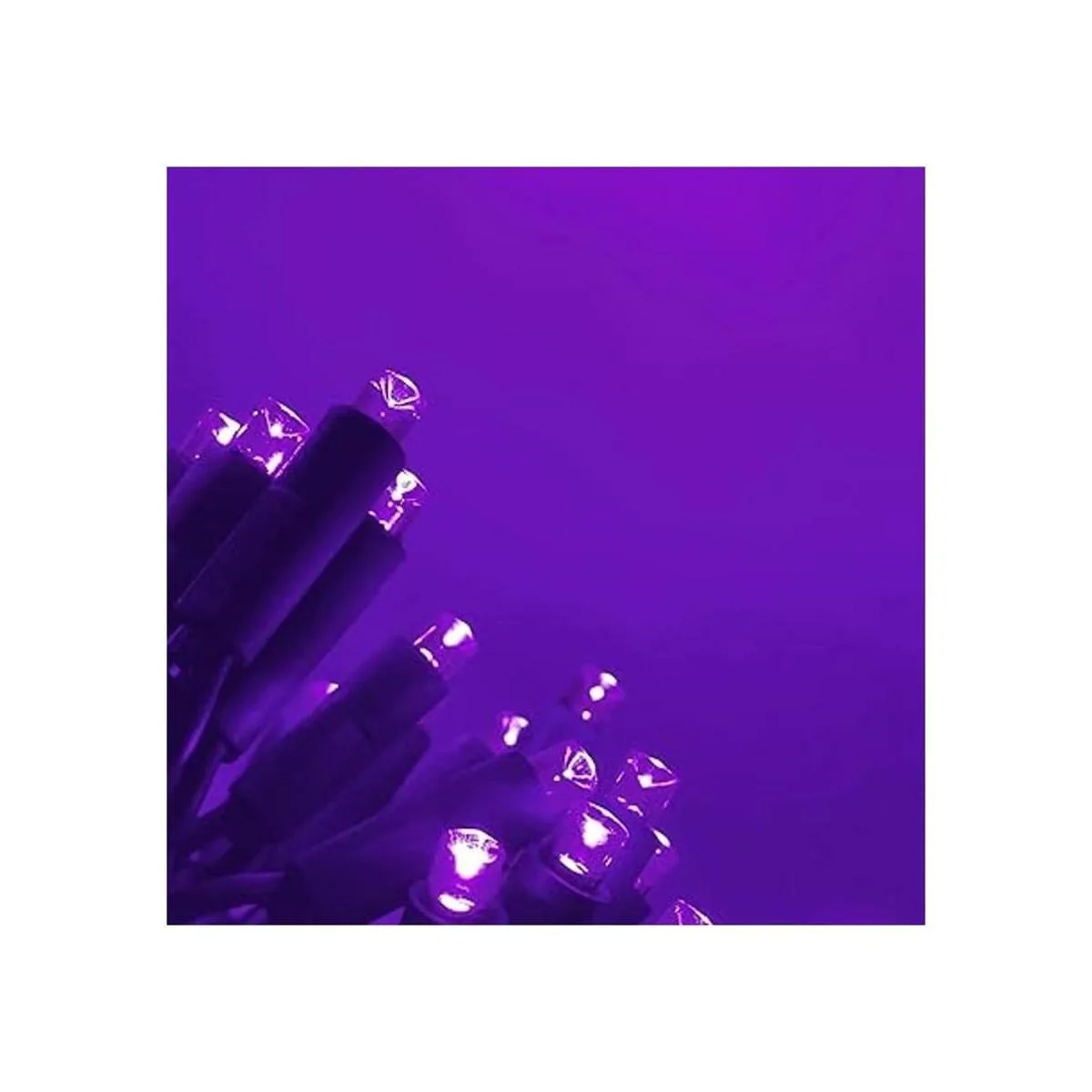 Everfit Lighting Luces pequeñas de Navidad serie para_2