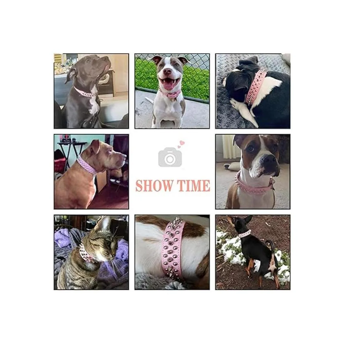 DOGGYZSTYLE Collar de perro de cuero remache con clavos_4