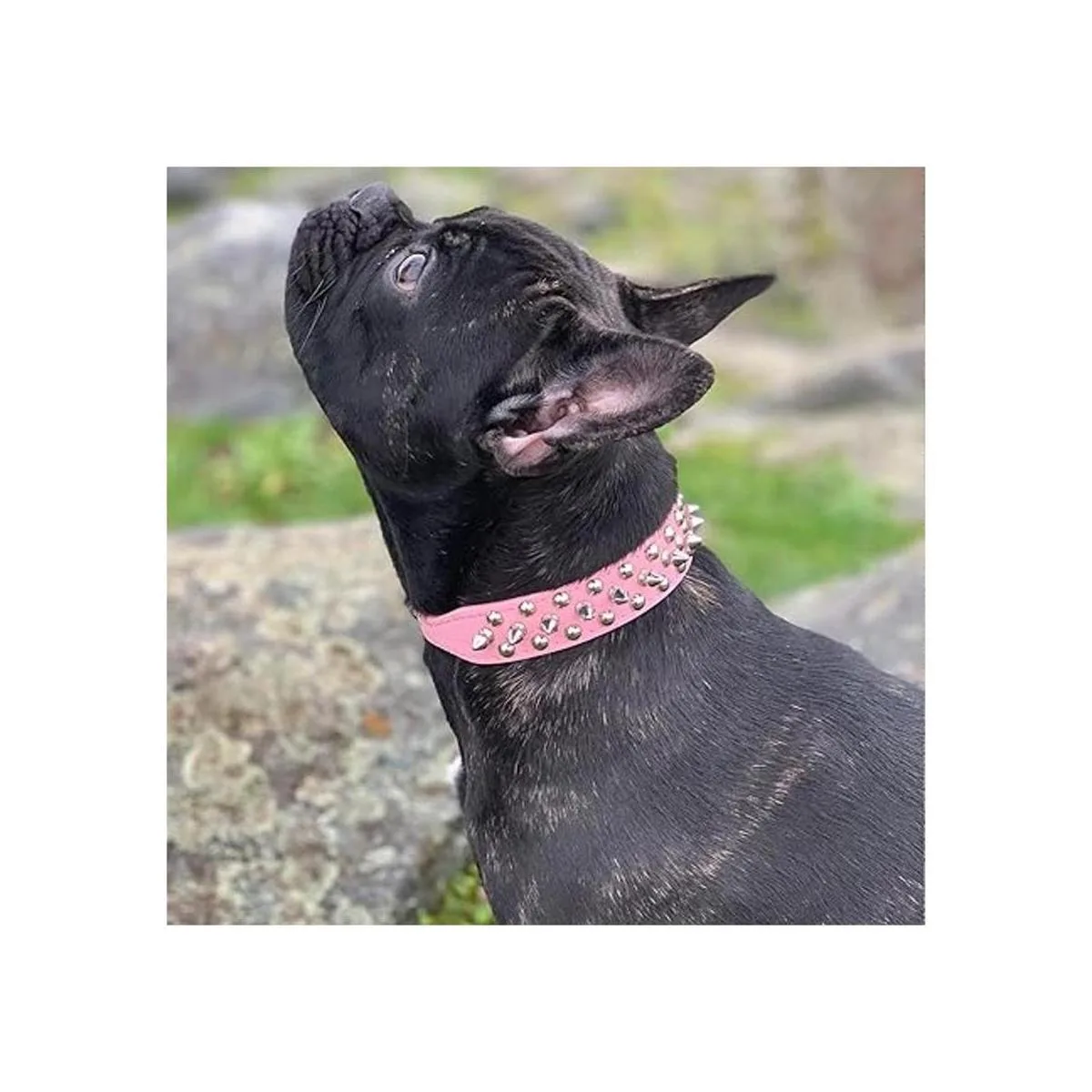 DOGGYZSTYLE Collar de perro de cuero remache con clavos_6