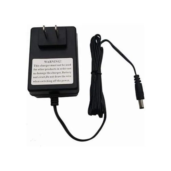 6V Kids Ride On Car Charger 6 Volt Battery Round Hole_3