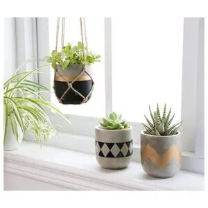 Mkono Juego de 3 macetas de cemento para plantas de_2