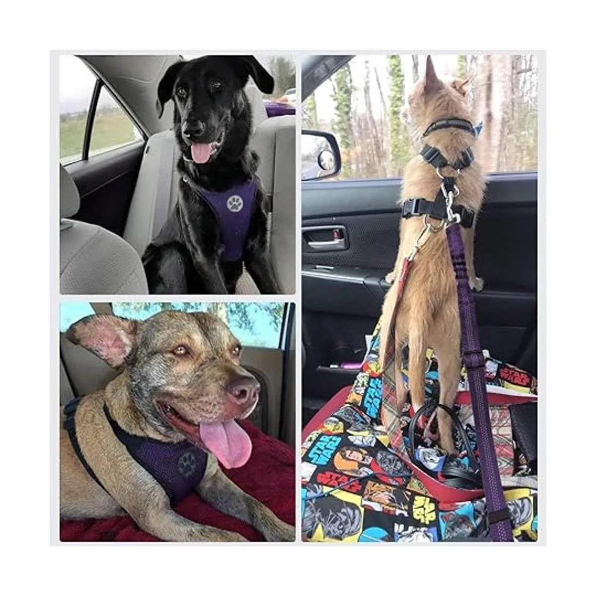 Lukovee arnés de seguridad para perro con cinturón de_2