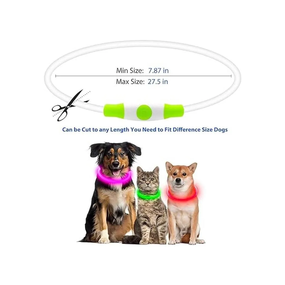HiGuard Collar de perro LED recargable por USB collar de_4