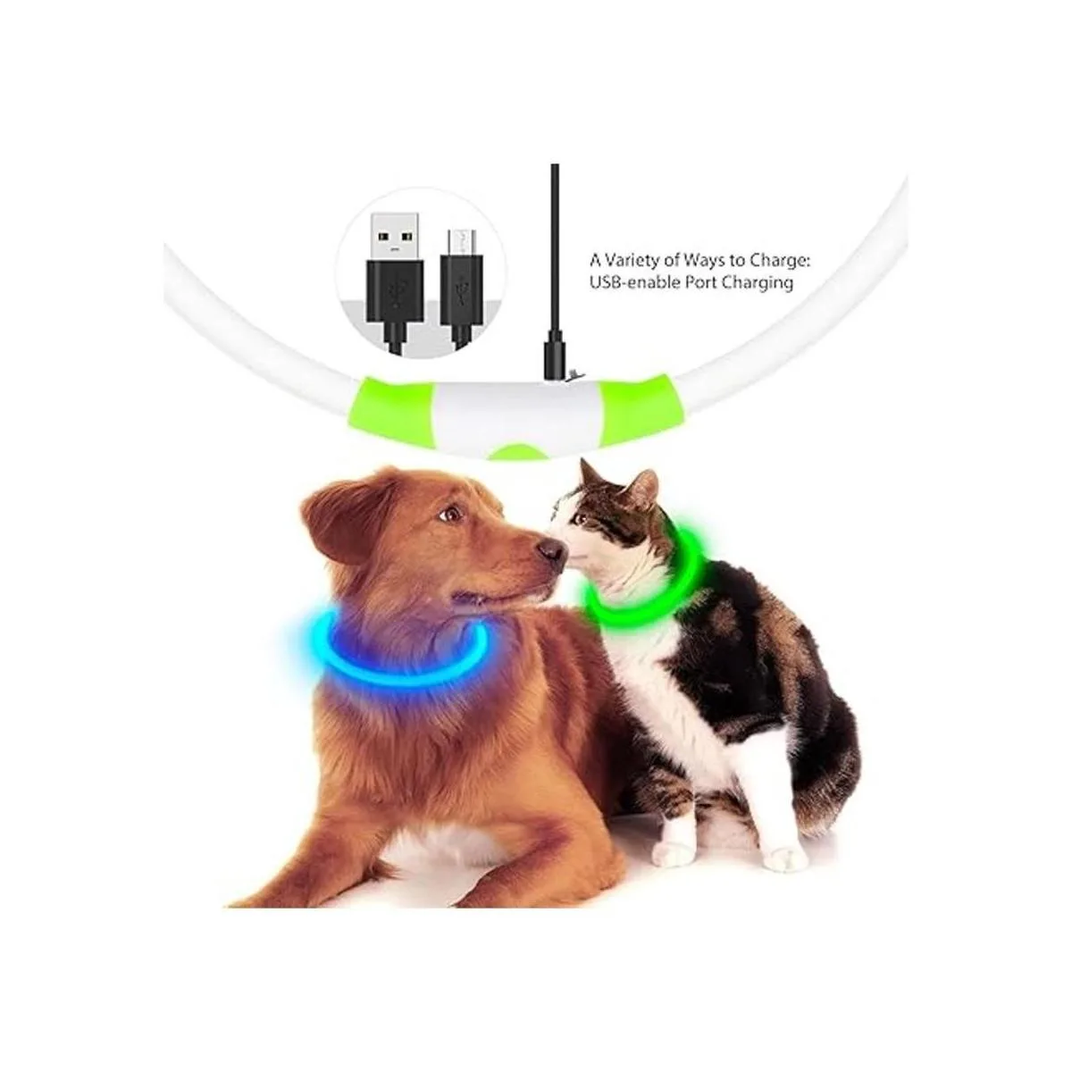 HiGuard Collar de perro LED recargable por USB collar de_3