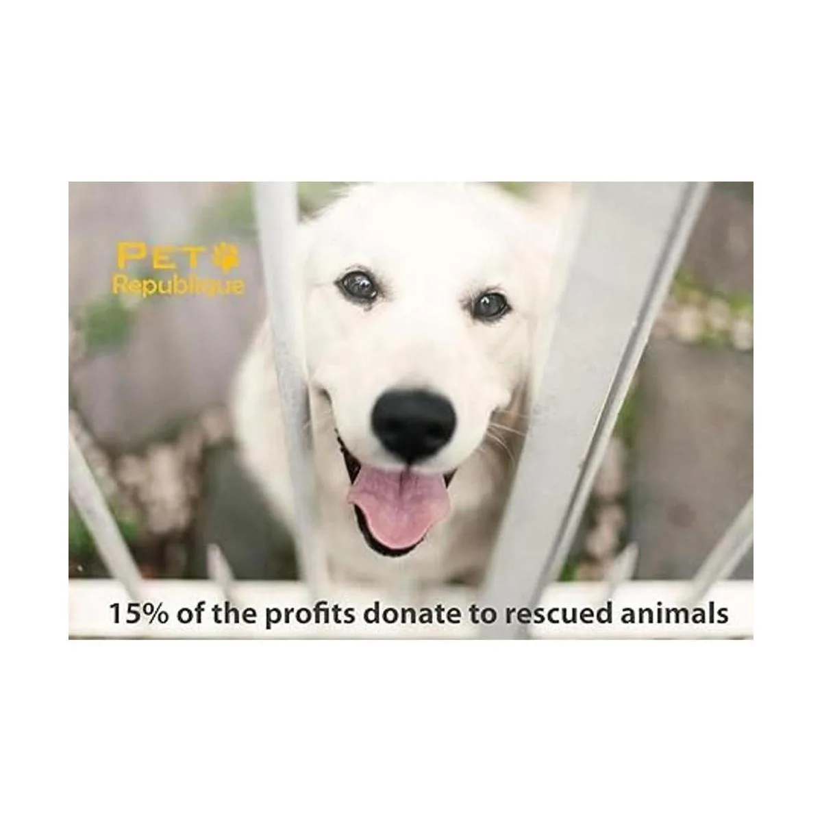 Pet Republique Dog Nail Grinder and Nail Clippers Series_4