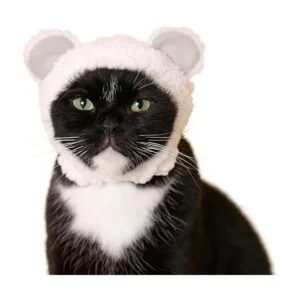 Kitan Club Gorra para gatos caja ciega con sombrero para_6