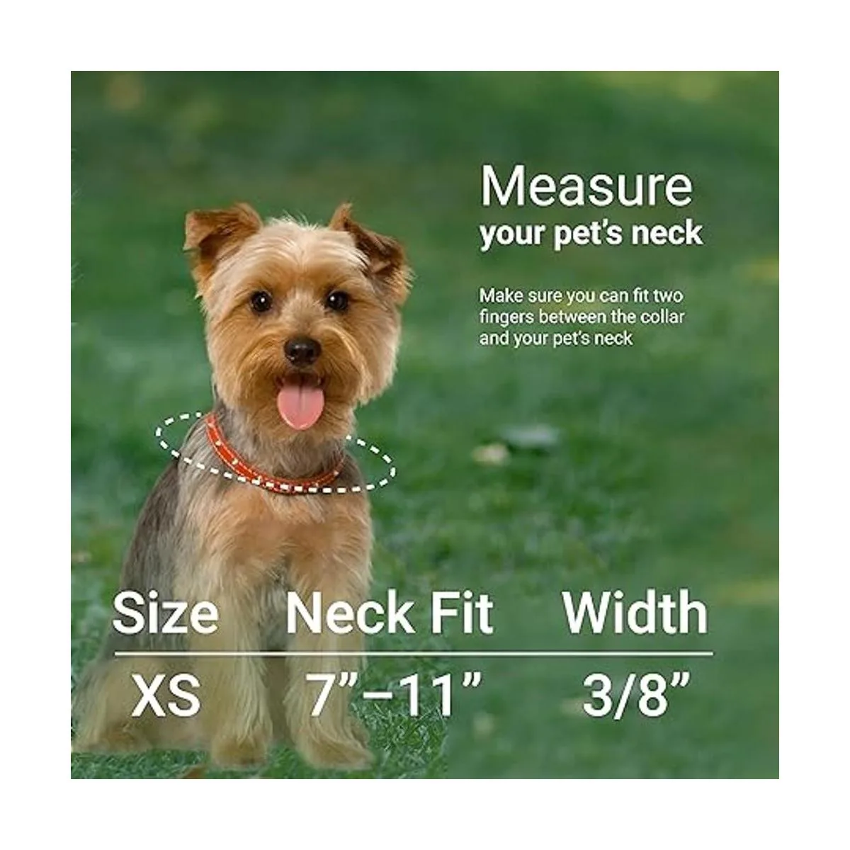 CollarDirect Collar de perro de nailon con hebilla tribal_5