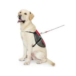 PLUTUS PET Emotional Support Dog Vest with 2 Free_4