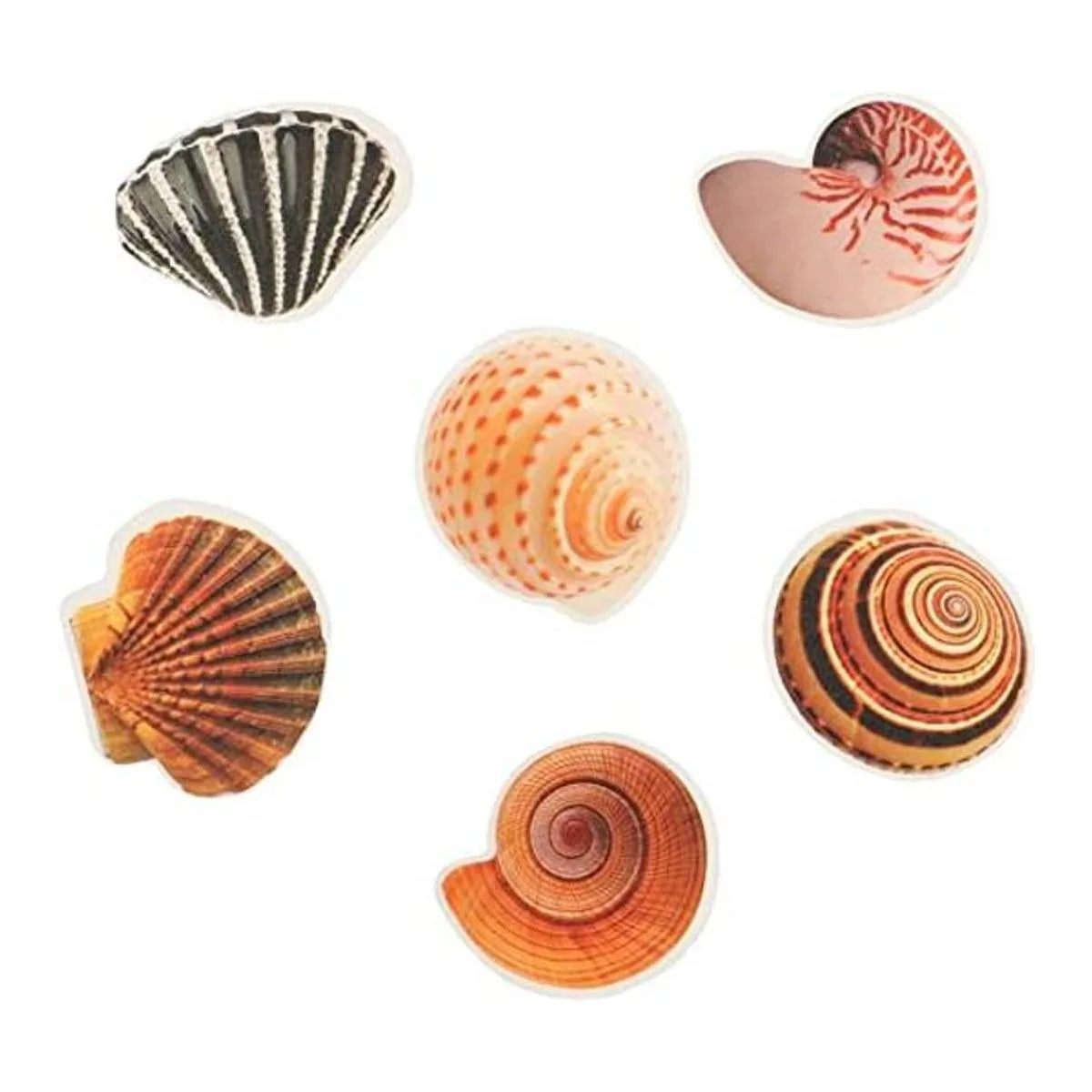 Fallaloe Calcomanías antideslizantes para tina 12 tiras_1