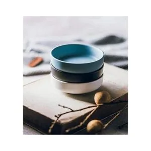 Colias Wing Juego de 6 platos de porcelana multiusos con_6