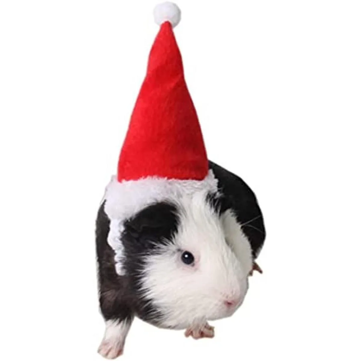 ANIAC Gorro de Navidad para mascotas de Papá Noel_1