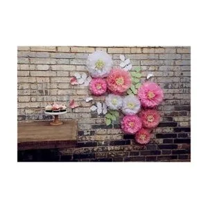 Fonder Mols Juego de 21 pompones de papel de seda con_2