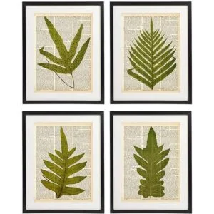 Fern Art Prints Juego de 4 piezas de arte botánico_1